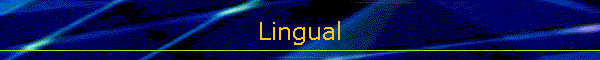 Lingual